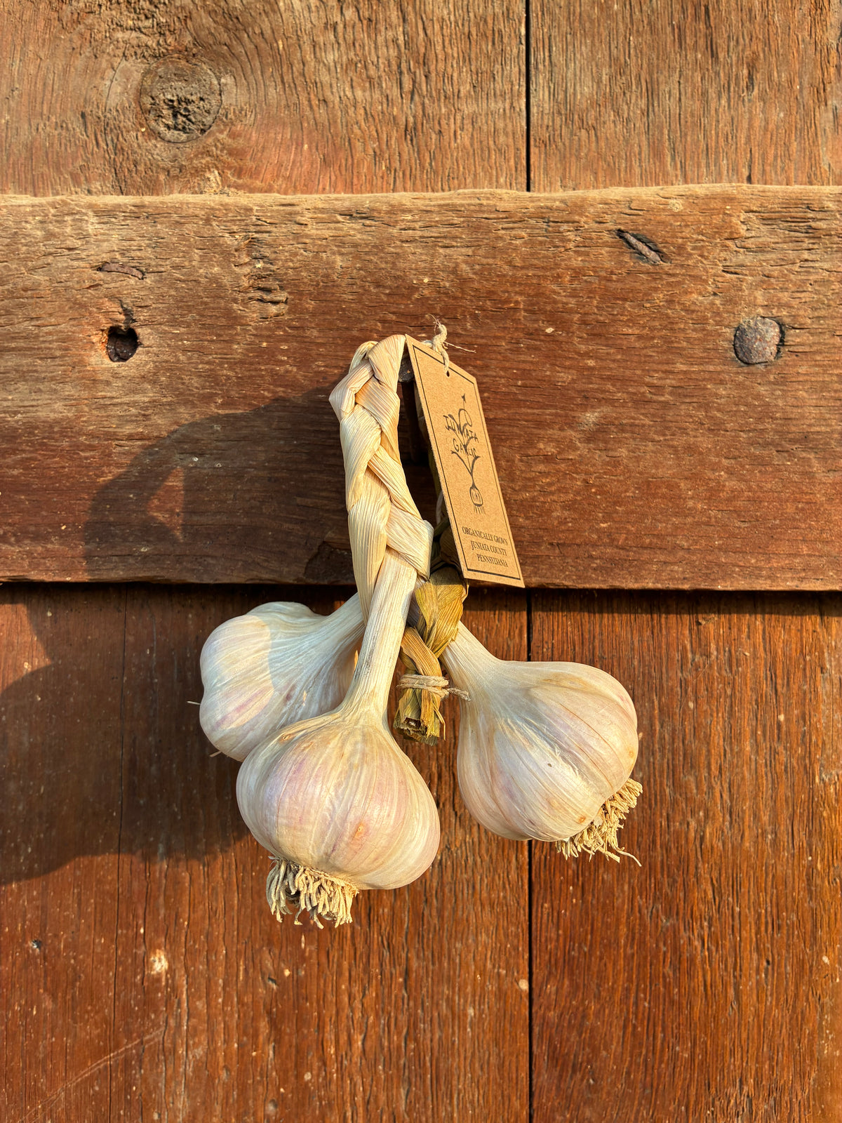 Handmade Organic Garlic Braid Trio