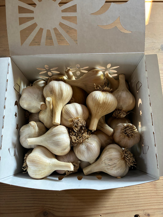Value Thirty Box (30 Bulbs)
