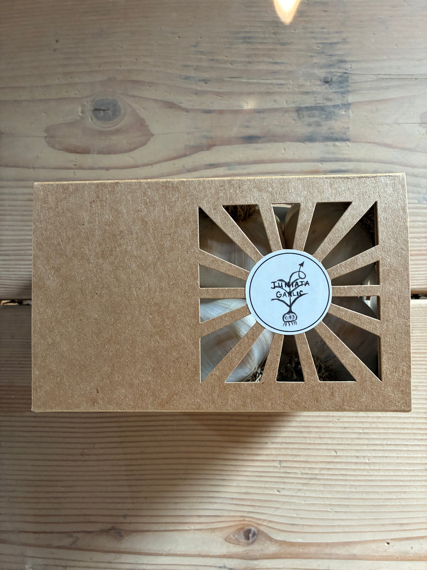 Premium Ten Box (10 Bulbs)
