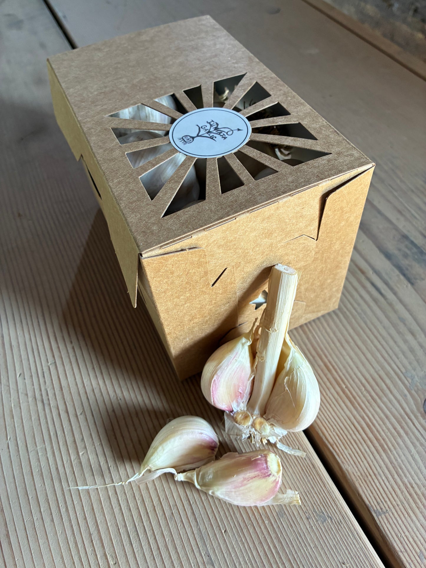 Premium Ten Box (10 Bulbs)