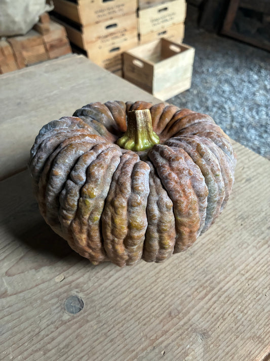Organic Black Futsu Winter Squash