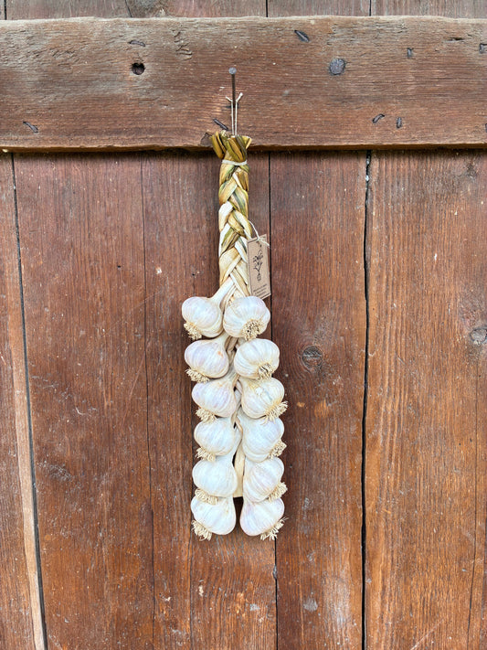 Handmade Organic Garlic Braid Dozen