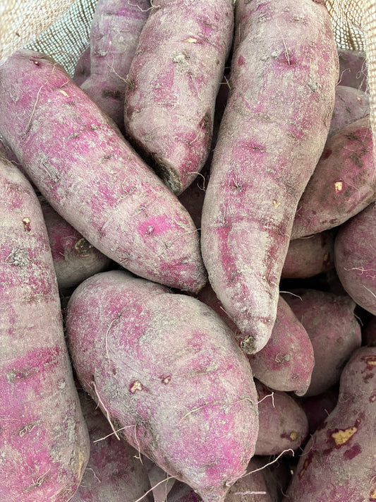 Organic Murasaki Sweet Potatoes (3#)