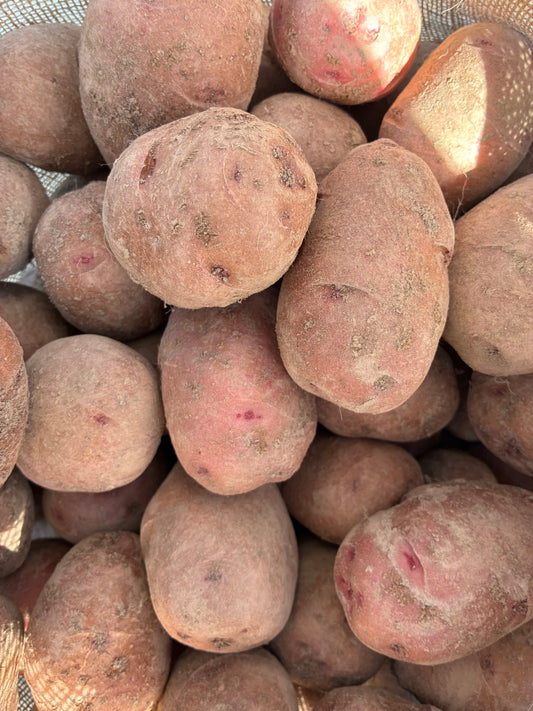 Organic Red Norland Potatoes (3#)