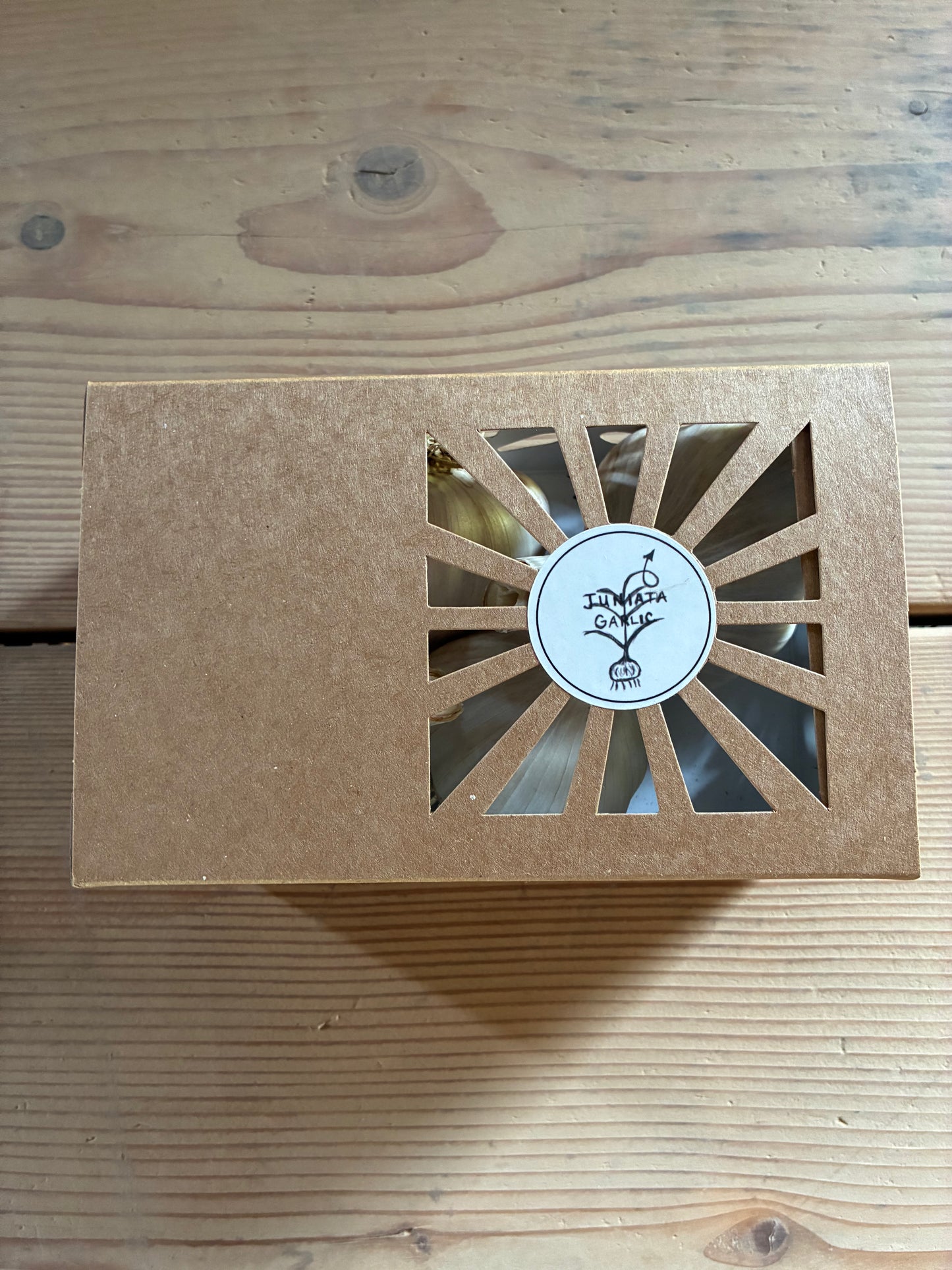 Jumbo Roasters Box (4 Bulbs)