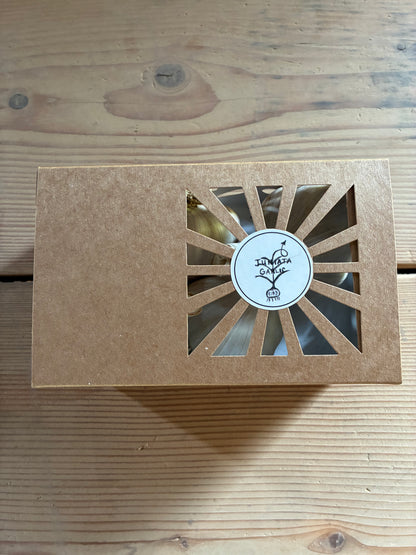 Jumbo Roasters Pack (4 Bulbs)