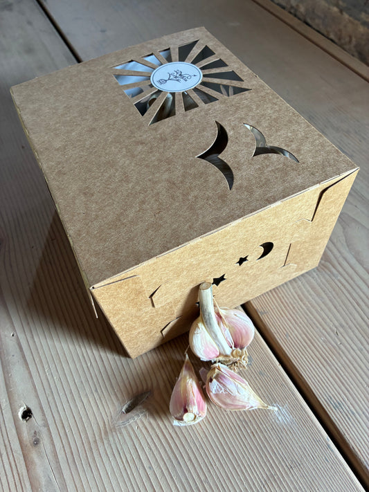 Value Thirty Box (30 Bulbs)