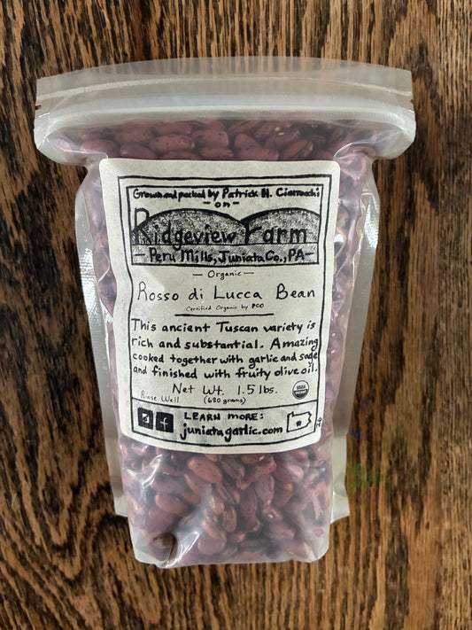 Organic Rosso di Lucca Dry Bean