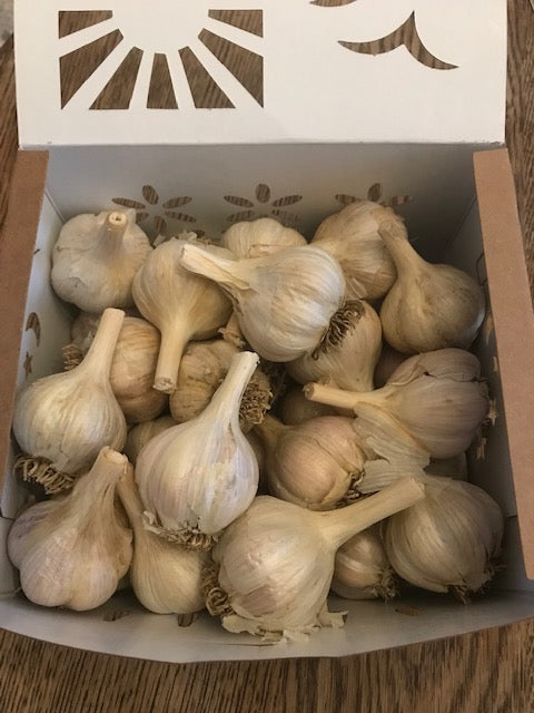 Organic Juniata Garlic Pantry Packs