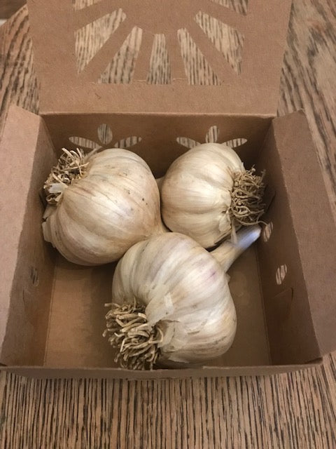 Organic Juniata Garlic Pantry Packs