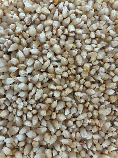 Organic Juniata White Flint Cornmeal (1.25#)