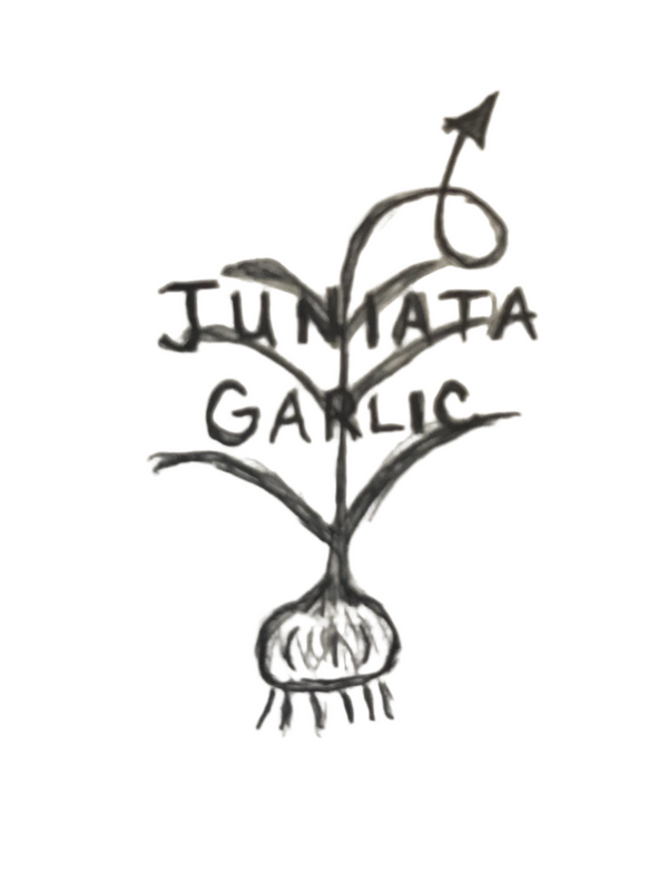Juniata Garlic - Ridgeview Farm